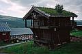 August 8, 1997 - On Torger's farm, Geilo, Norway.