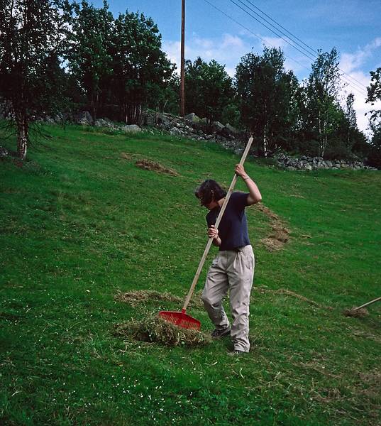 August 8, 1997 - On Torger's farm, Geilo, Norway.<br />Joyce raking the hay.