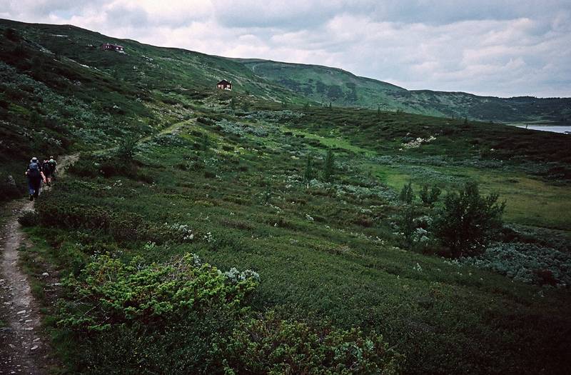 August 8, 1997 - Hike from Torger's farm to near Geilo, Norway.