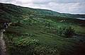 August 8, 1997 - Hike from Torger's farm to near Geilo, Norway.