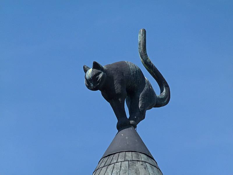 Cat atop the Cat House.<br />June 1, 2011 - Riga, Latvia.