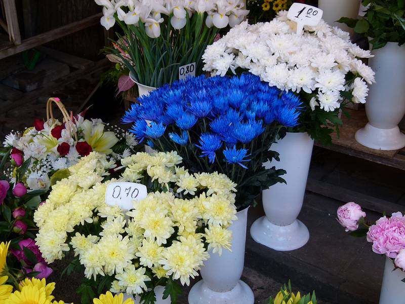 At the flower market on the Esplanade.<br />June 2, 2011 - Riga, Latvia.