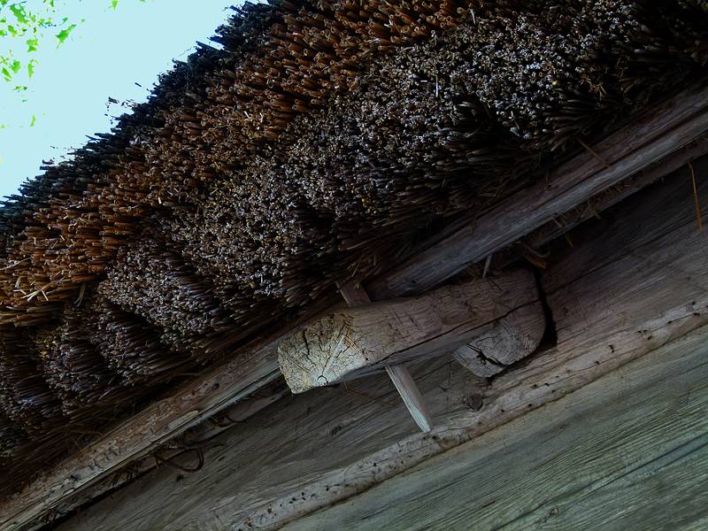 Detail of thatched roof.<br />Latvian Ethnographic Open Air Museum.<br />June 4, 2011 - Riga, Latvia.