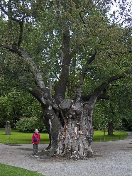 Joyce in the Hofgarten.<br />July 24, 2011 - Innsbruck, Austria.