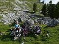 Joyce taking a break along trail #16.<br />July 27, 2011 - Hike from Puez Hut to Wolkenstein, South Tyrol, Italy.