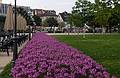 Park by the harbor.<br />August 3, 2011 - Bregenz, Austria.